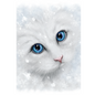 Winter Cat (SBD04) 6 x Blank Greetings Cards