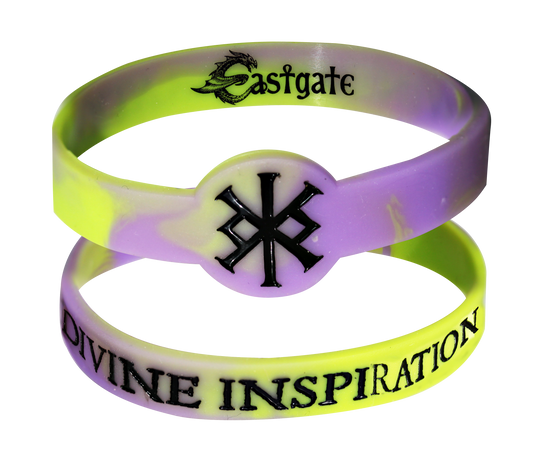 Divine Inspiration Charm Band (SWB4) Wristband x 5