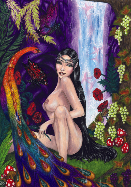 Fay Vision (VS03) - Pack of 6 Blank Greetings Cards with Envelope