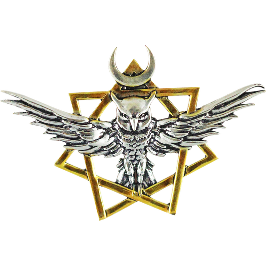 Guardian's Amulet (WF07) Pendant Charm Necklace